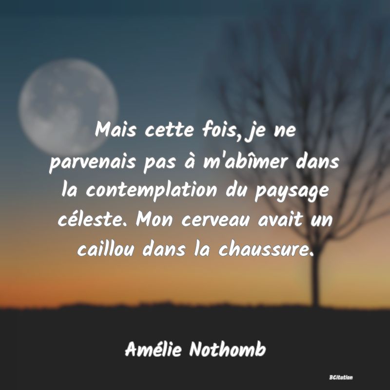 image de citation: Mais cette fois, je ne parvenais pas à m'abîmer dans la contemplation du paysage céleste. Mon cerveau avait un caillou dans la chaussure.