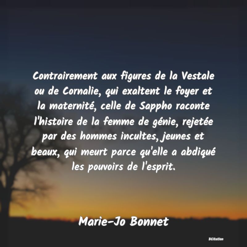 image de citation: Contrairement aux figures de la Vestale ou de Cornalie, qui exaltent le foyer et la maternité, celle de Sappho raconte l'histoire de la femme de génie, rejetée par des hommes incultes, jeunes et beaux, qui meurt parce qu'elle a abdiqué les pouvoirs de l'esprit.