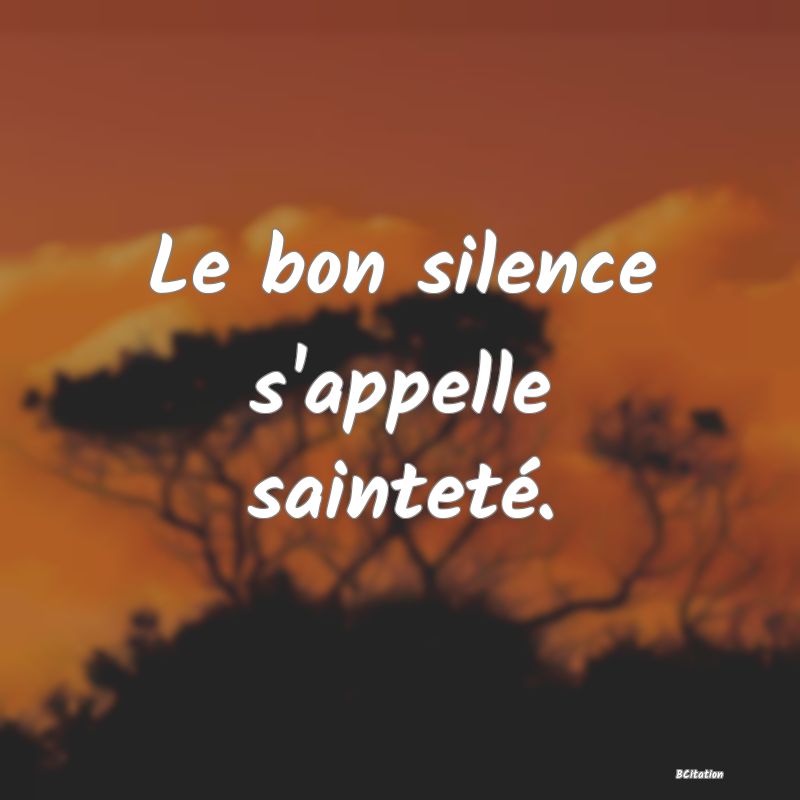 Belle Citation - Le bon silence s'appelle sainteté. - 