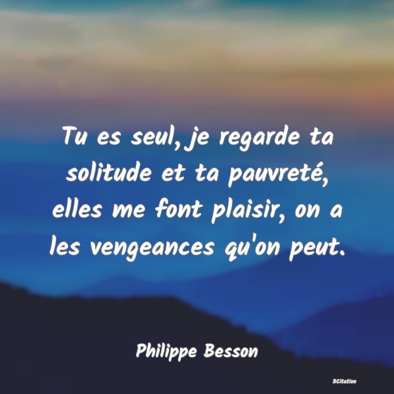 image de citation: Tu es seul, je regarde ta solitude et ta pauvreté, elles me font plaisir, on a les vengeances qu'on peut.