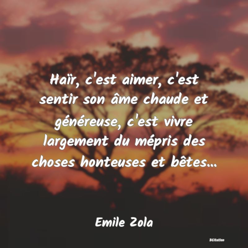 image de citation: Haïr, c'est aimer, c'est sentir son âme chaude et généreuse, c'est vivre largement du mépris des choses honteuses et bêtes...