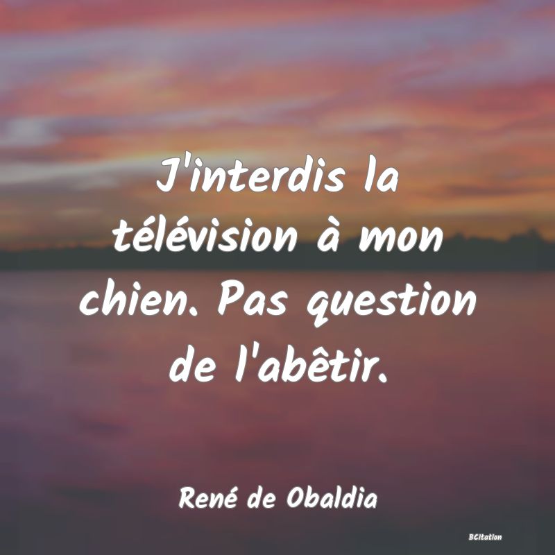 image de citation: J'interdis la télévision à mon chien. Pas question de l'abêtir.