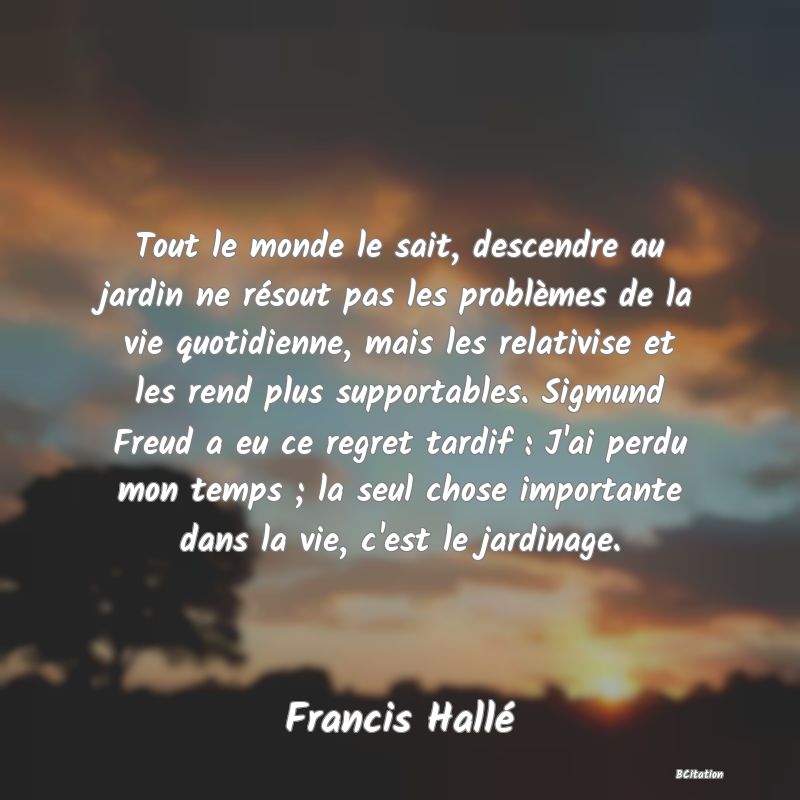 image de citation: Tout le monde le sait, descendre au jardin ne résout pas les problèmes de la vie quotidienne, mais les relativise et les rend plus supportables. Sigmund Freud a eu ce regret tardif : J'ai perdu mon temps ; la seul chose importante dans la vie, c'est le jardinage.