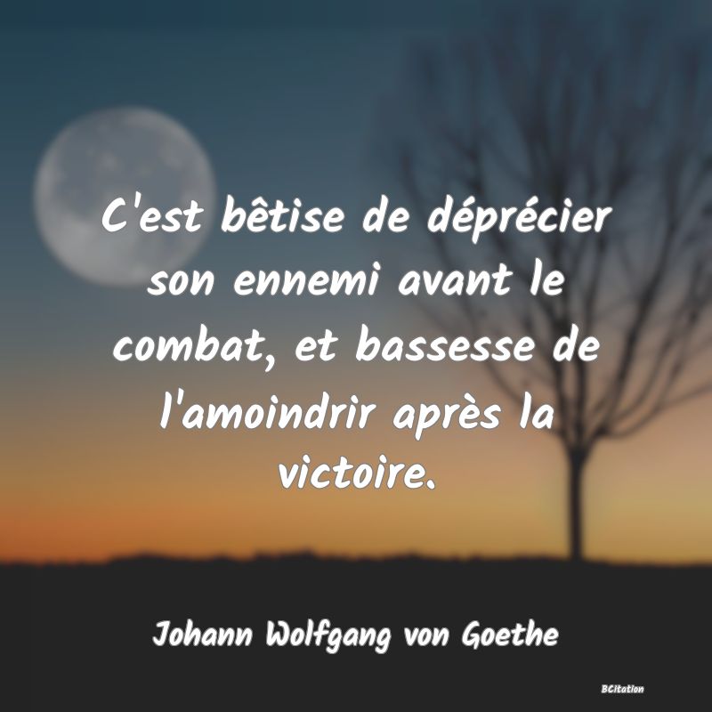 image de citation: C'est bêtise de déprécier son ennemi avant le combat, et bassesse de l'amoindrir après la victoire.