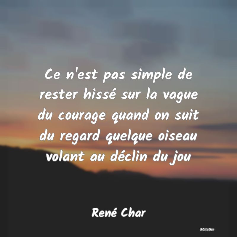 image de citation: Ce n'est pas simple de rester hissé sur la vague du courage quand on suit du regard quelque oiseau volant au déclin du jou