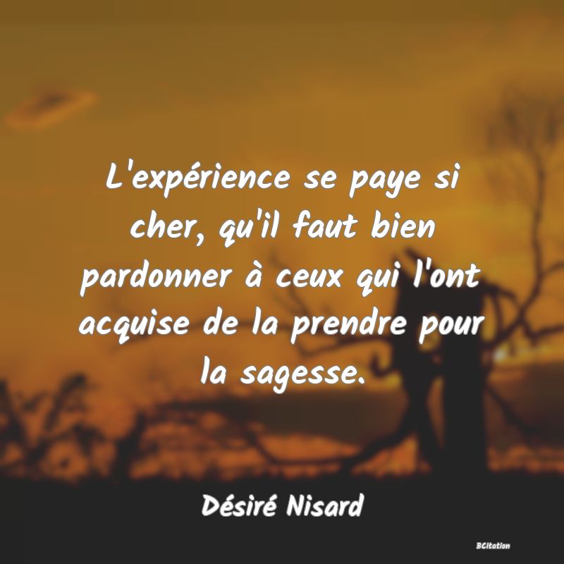 image de citation: L'expérience se paye si cher, qu'il faut bien pardonner à ceux qui l'ont acquise de la prendre pour la sagesse.