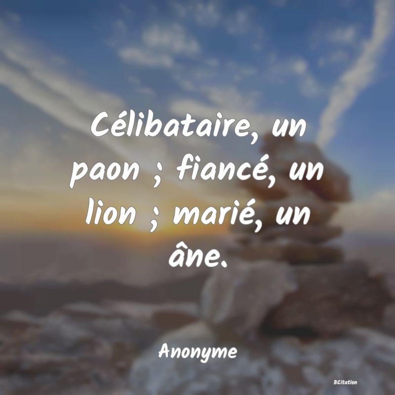 Belle Citation - Célibataire, un paon ; fiancé, un lion ; marié, un âne. - Anonyme