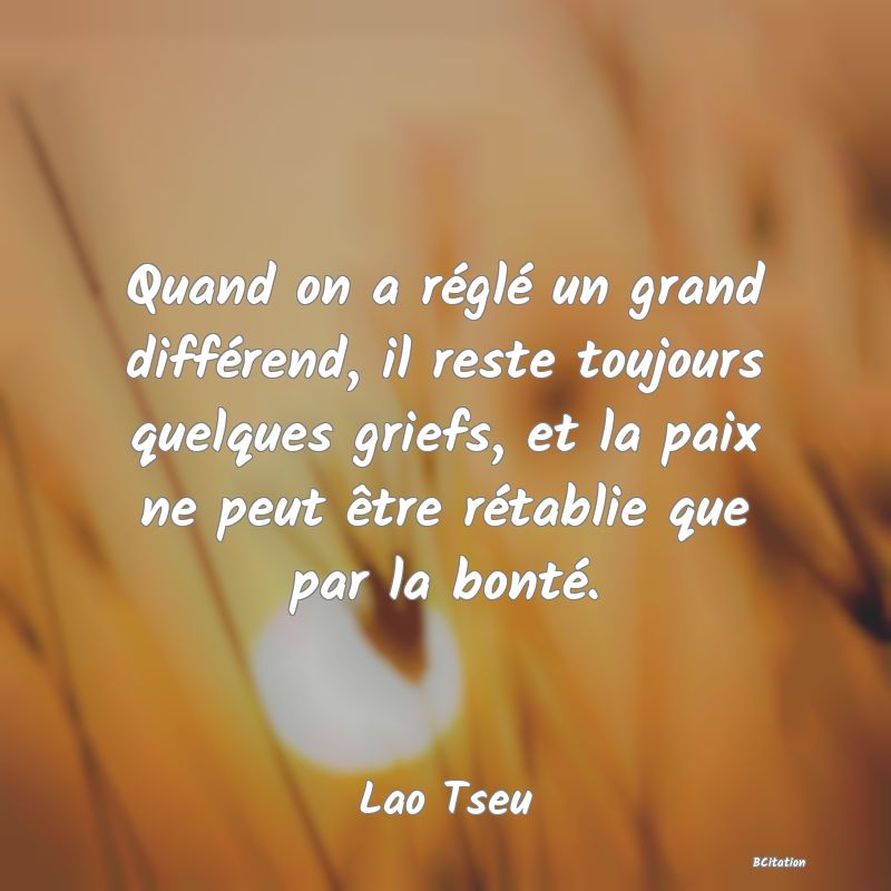 image de citation: Quand on a réglé un grand différend, il reste toujours quelques griefs, et la paix ne peut être rétablie que par la bonté.