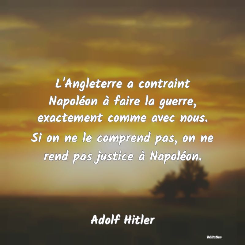 image de citation: L'Angleterre a contraint Napoléon à faire la guerre, exactement comme avec nous. Si on ne le comprend pas, on ne rend pas justice à Napoléon.