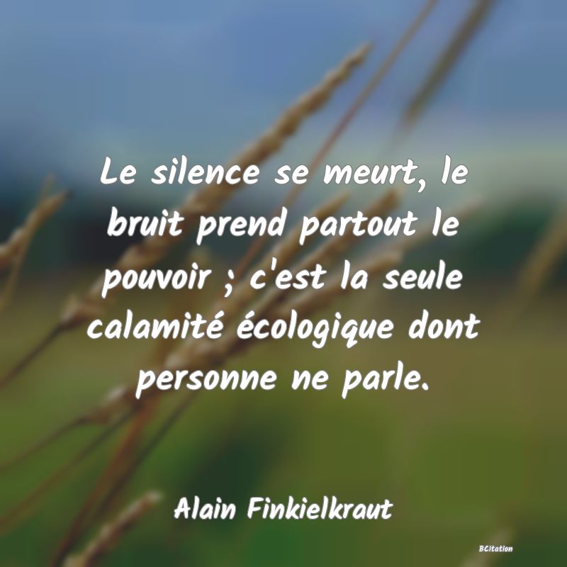 Belle Citation - Le silence se meurt, le bruit prend partout le pouvoir ; c'est la seule calamité écologique dont personne ne parle. - Alain Finkielkraut