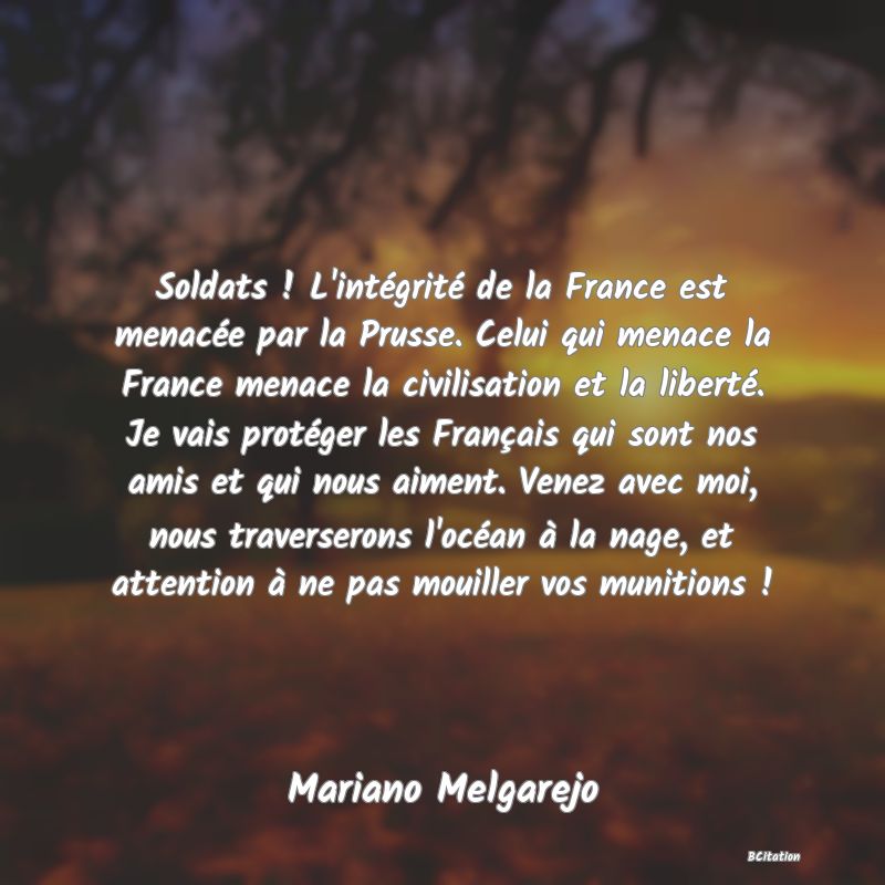 image de citation: Soldats ! L'intégrité de la France est menacée par la Prusse. Celui qui menace la France menace la civilisation et la liberté. Je vais protéger les Français qui sont nos amis et qui nous aiment. Venez avec moi, nous traverserons l'océan à la nage, et attention à ne pas mouiller vos munitions !