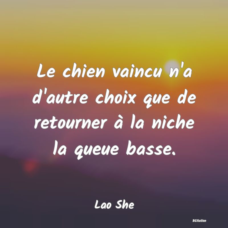 image de citation: Le chien vaincu n'a d'autre choix que de retourner à la niche la queue basse.