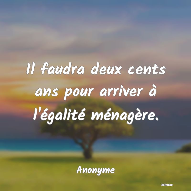 Belle Citation - Il faudra deux cents ans pour arriver à l'égalité ménagère. - Anonyme