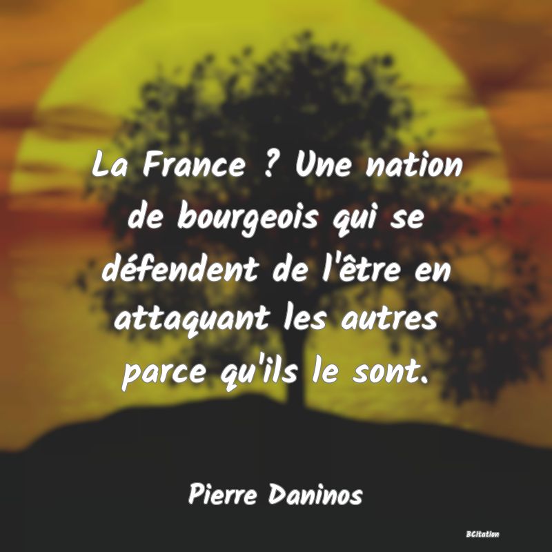 image de citation: La France ? Une nation de bourgeois qui se défendent de l'être en attaquant les autres parce qu'ils le sont.