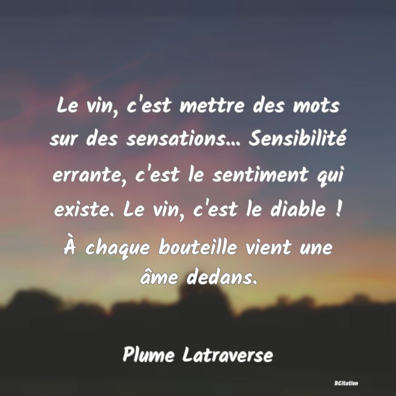 image de citation: Le vin, c'est mettre des mots sur des sensations... Sensibilité errante, c'est le sentiment qui existe. Le vin, c'est le diable ! À chaque bouteille vient une âme dedans.