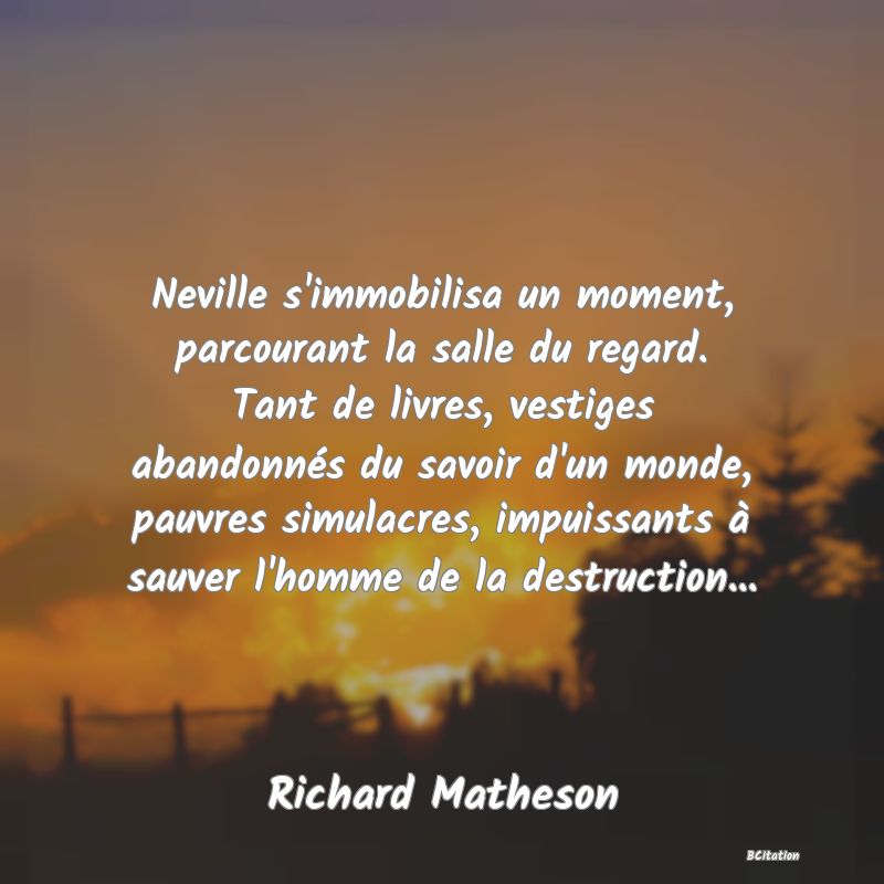 image de citation: Neville s'immobilisa un moment, parcourant la salle du regard. Tant de livres, vestiges abandonnés du savoir d'un monde, pauvres simulacres, impuissants à sauver l'homme de la destruction...