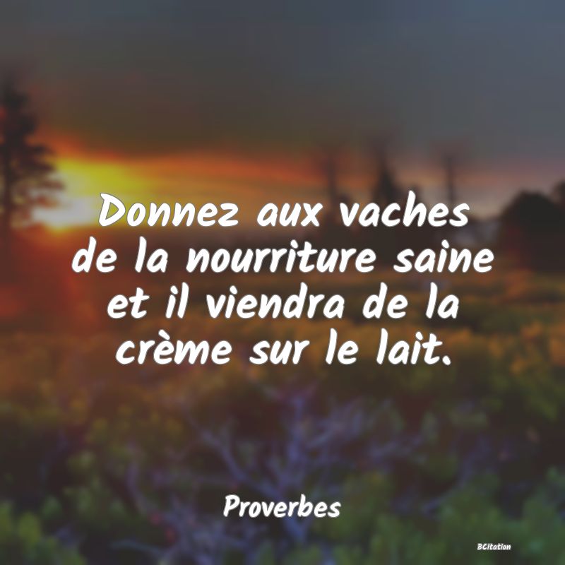 Belle Citation - Donnez aux vaches de la nourriture saine et il viendra de la crème sur le lait. - Proverbes
