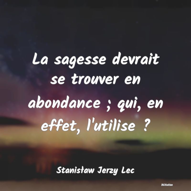 Belle Citation - La sagesse devrait se trouver en abondance ; qui, en effet, l'utilise ? - Stanisław Jerzy Lec