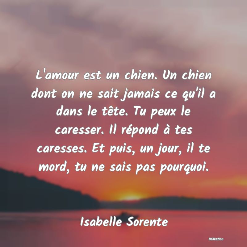 Belle Citation - L'amour est un chien. Un chien dont on ne sait jamais ce qu'il a dans le tête. Tu peux le caresser. Il répond à tes caresses. Et puis, un jour, il te mord, tu ne sais pas pourquoi. - Isabelle Sorente