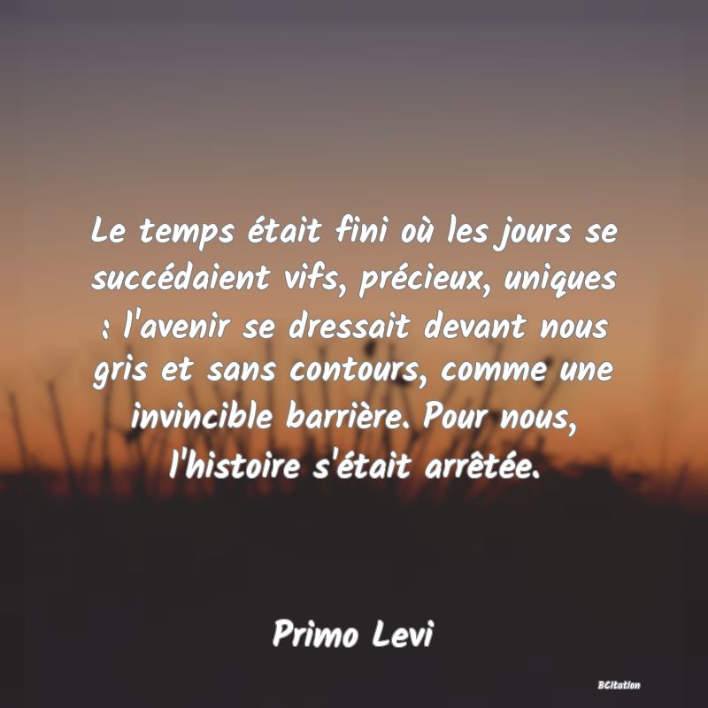 image de citation: Le temps était fini où les jours se succédaient vifs, précieux, uniques : l'avenir se dressait devant nous gris et sans contours, comme une invincible barrière. Pour nous, l'histoire s'était arrêtée.