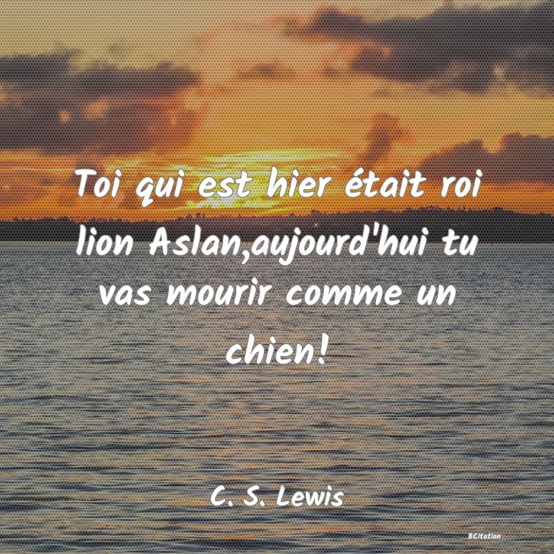 image de citation: Toi qui est hier était roi lion Aslan,aujourd'hui tu vas mourir comme un chien!