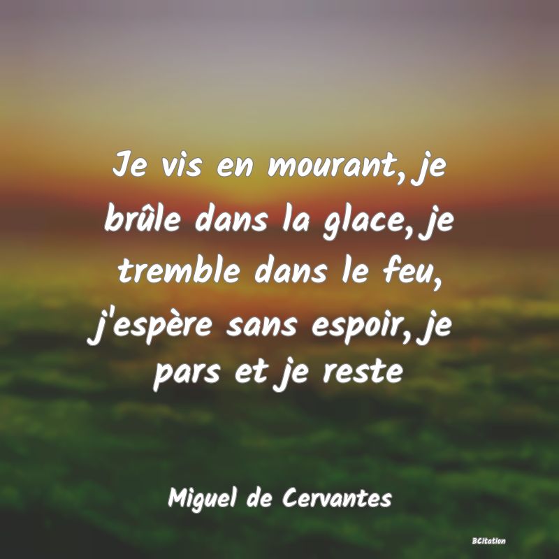 image de citation: Je vis en mourant, je brûle dans la glace, je tremble dans le feu, j'espère sans espoir, je pars et je reste