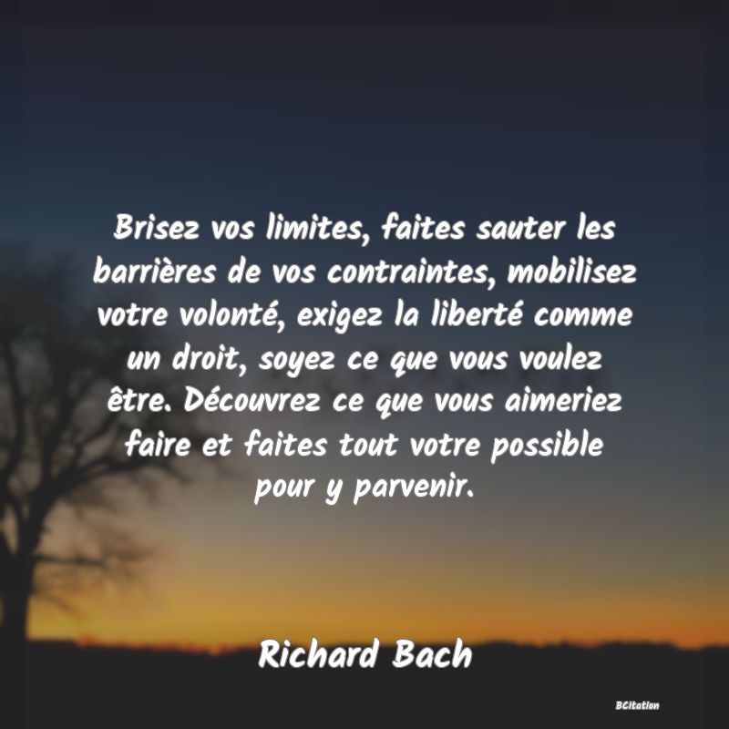 image de citation: Brisez vos limites, faites sauter les barrières de vos contraintes, mobilisez votre volonté, exigez la liberté comme un droit, soyez ce que vous voulez être. Découvrez ce que vous aimeriez faire et faites tout votre possible pour y parvenir.