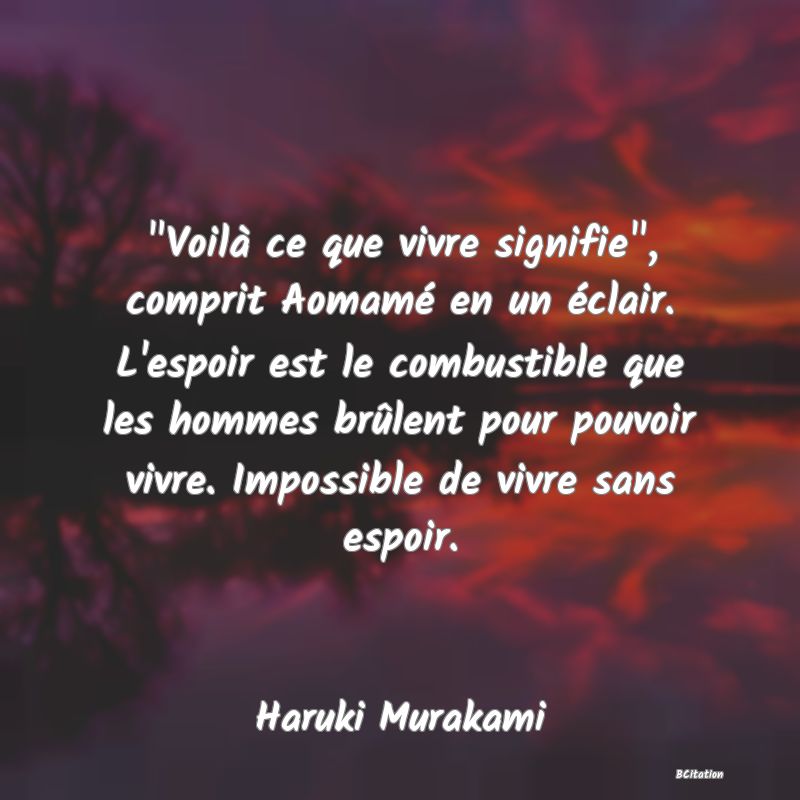 Belle Citation - 