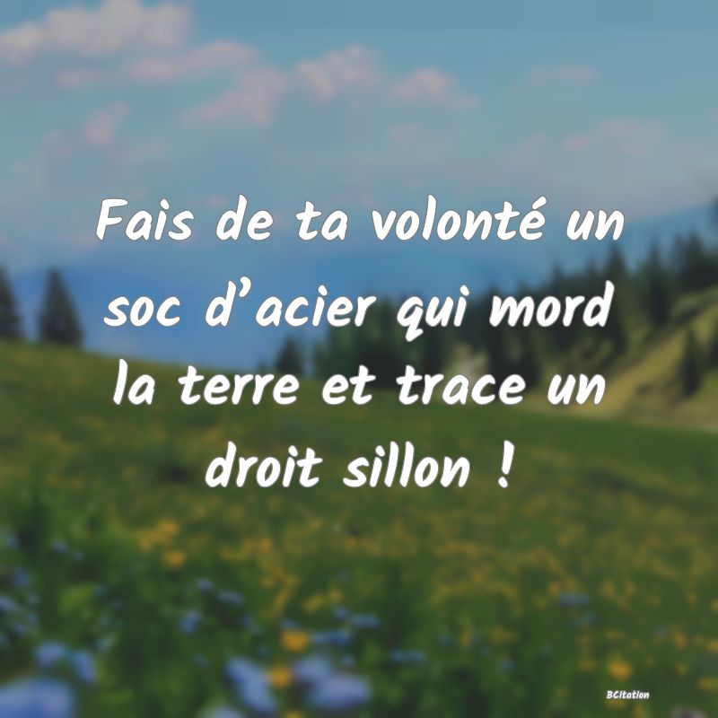 Belle Citation - Fais de ta volonté un soc d’acier qui mord la terre et trace un droit sillon ! - 