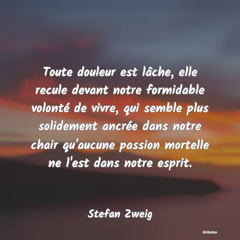 Belle Citation - Toute douleur est lâche, elle recule devant notre formidable volonté de vivre, qui semble plus solidement ancrée dans notre chair qu'aucune passion mortelle ne l'est dans notre esprit. - Stefan Zweig