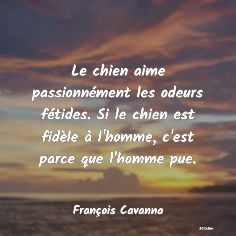 image de citation: Le chien aime passionnément les odeurs fétides. Si le chien est fidèle à l'homme, c'est parce que l'homme pue.