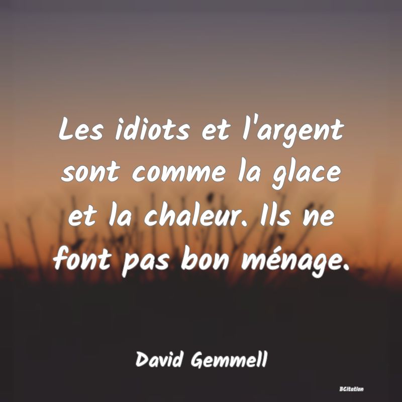 image de citation: Les idiots et l'argent sont comme la glace et la chaleur. Ils ne font pas bon ménage.