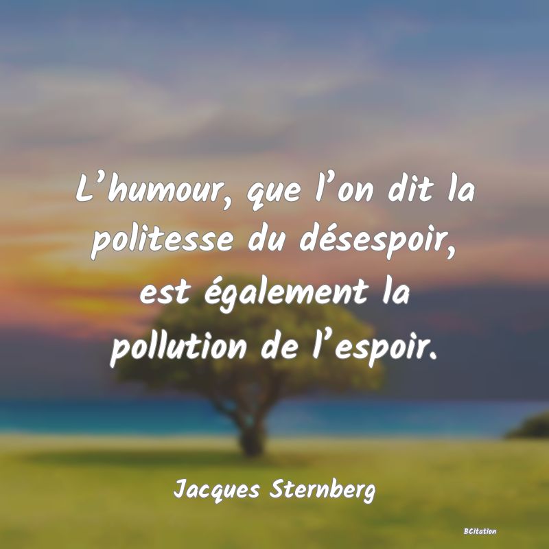 image de citation: L’humour, que l’on dit la politesse du désespoir, est également la pollution de l’espoir.