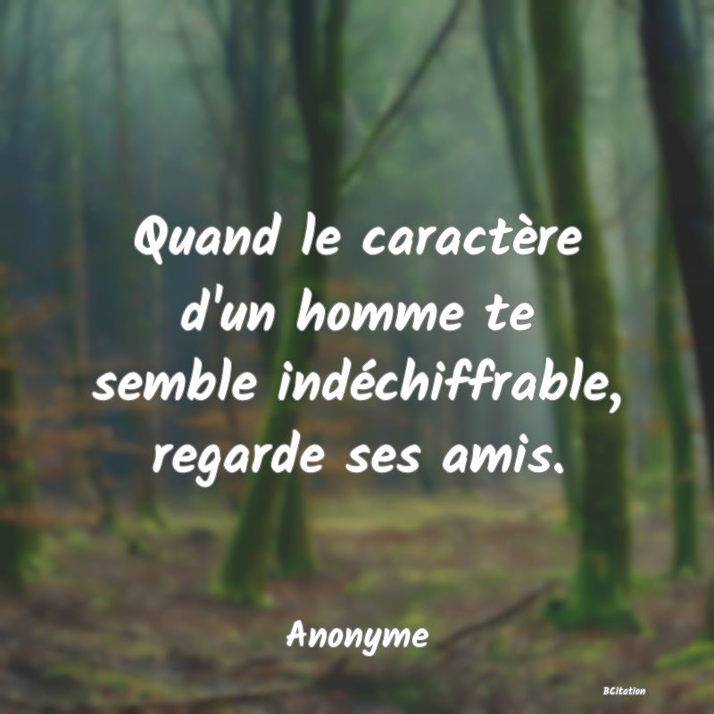 image de citation: Quand le caractère d'un homme te semble indéchiffrable, regarde ses amis.