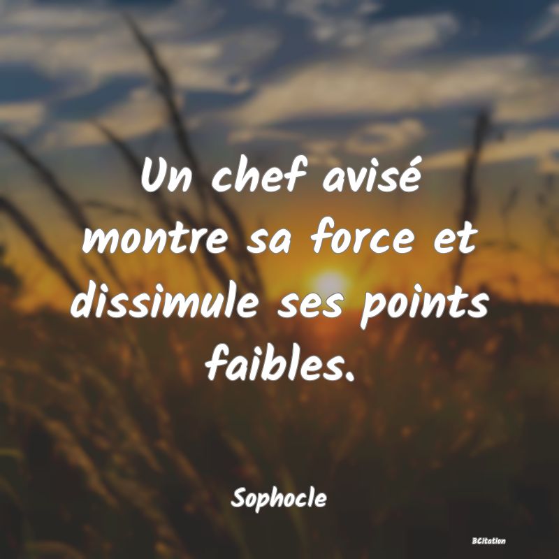 image de citation: Un chef avisé montre sa force et dissimule ses points faibles.