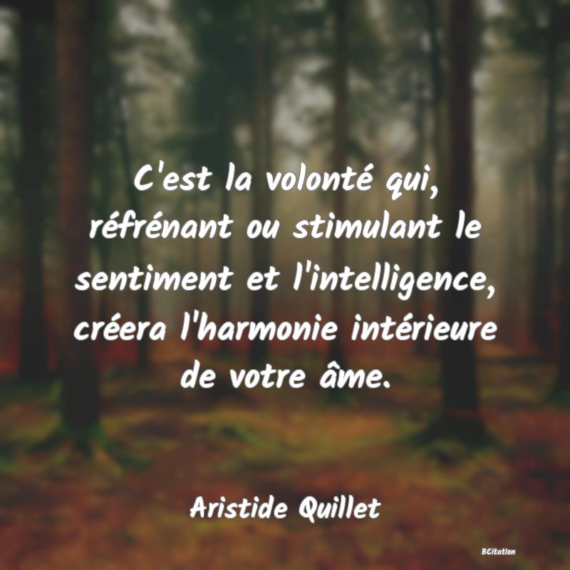 image de citation: C'est la volonté qui, réfrénant ou stimulant le sentiment et l'intelligence, créera l'harmonie intérieure de votre âme.