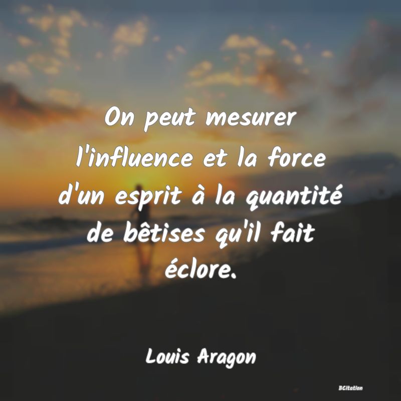 image de citation: On peut mesurer l'influence et la force d'un esprit à la quantité de bêtises qu'il fait éclore.