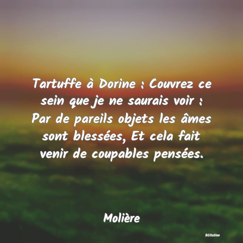 image de citation: Tartuffe à Dorine : Couvrez ce sein que je ne saurais voir : Par de pareils objets les âmes sont blessées, Et cela fait venir de coupables pensées.