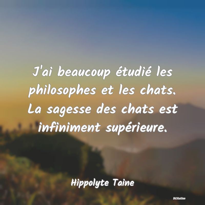 Belle Citation - J'ai beaucoup étudié les philosophes et les chats. La sagesse des chats est infiniment supérieure. - Hippolyte Taine