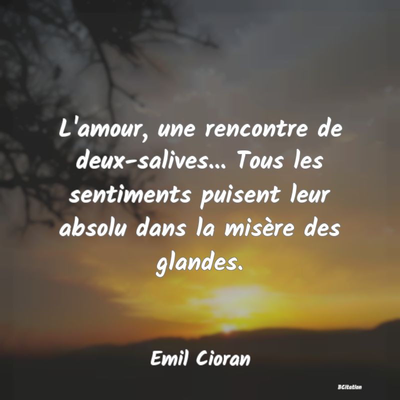 image de citation: L'amour, une rencontre de deux-salives... Tous les sentiments puisent leur absolu dans la misère des glandes.