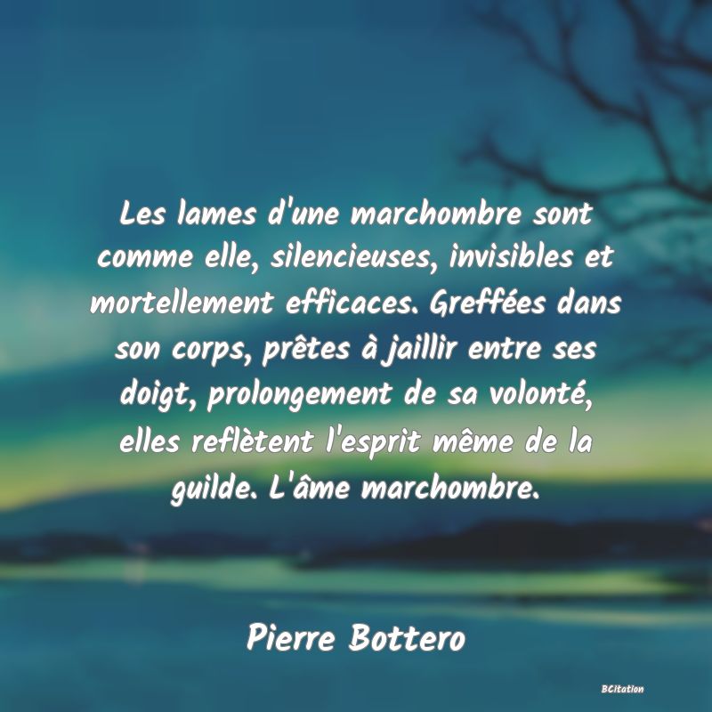 image de citation: Les lames d'une marchombre sont comme elle, silencieuses, invisibles et mortellement efficaces. Greffées dans son corps, prêtes à jaillir entre ses doigt, prolongement de sa volonté, elles reflètent l'esprit même de la guilde. L'âme marchombre.