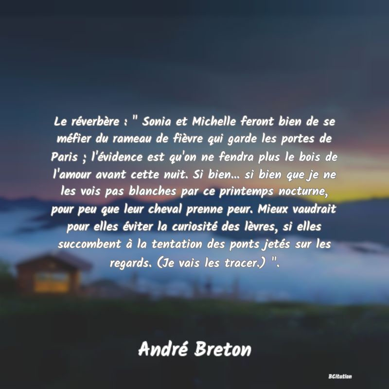 image de citation: Le réverbère :   Sonia et Michelle feront bien de se méfier du rameau de fièvre qui garde les portes de Paris ; l'évidence est qu'on ne fendra plus le bois de l'amour avant cette nuit. Si bien... si bien que je ne les vois pas blanches par ce printemps nocturne, pour peu que leur cheval prenne peur. Mieux vaudrait pour elles éviter la curiosité des lèvres, si elles succombent à la tentation des ponts jetés sur les regards. (Je vais les tracer.)  .