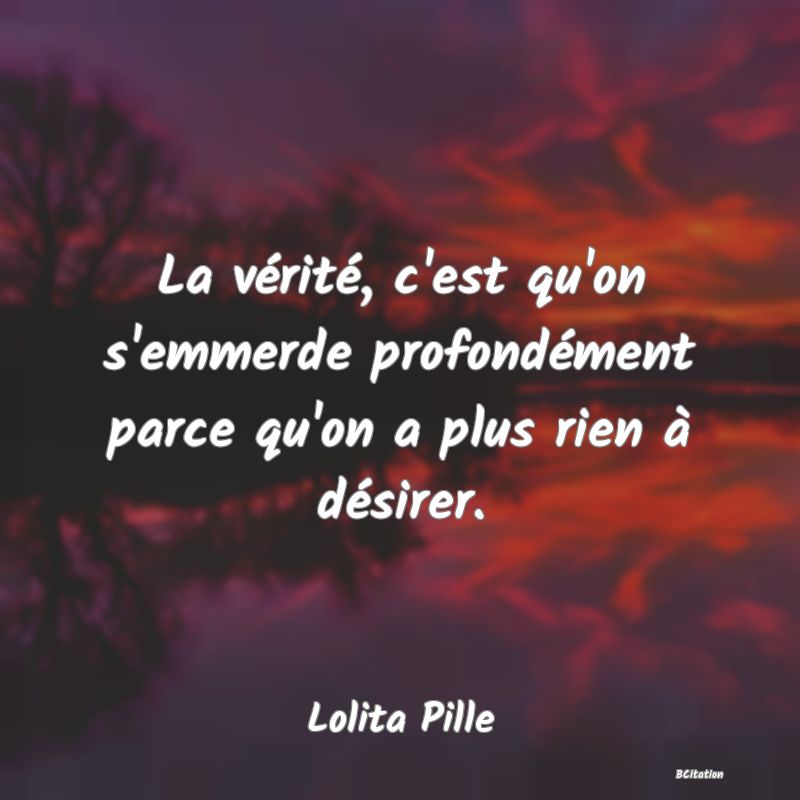 image de citation: La vérité, c'est qu'on s'emmerde profondément parce qu'on a plus rien à désirer.