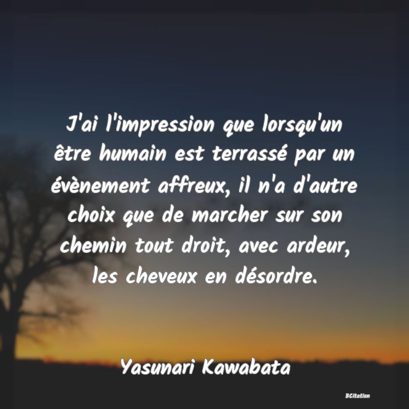 image de citation: J'ai l'impression que lorsqu'un être humain est terrassé par un évènement affreux, il n'a d'autre choix que de marcher sur son chemin tout droit, avec ardeur, les cheveux en désordre.