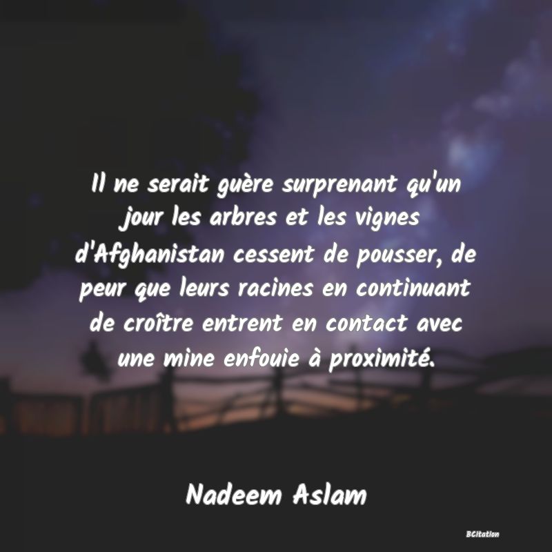 image de citation: Il ne serait guère surprenant qu'un jour les arbres et les vignes d'Afghanistan cessent de pousser, de peur que leurs racines en continuant de croître entrent en contact avec une mine enfouie à proximité.