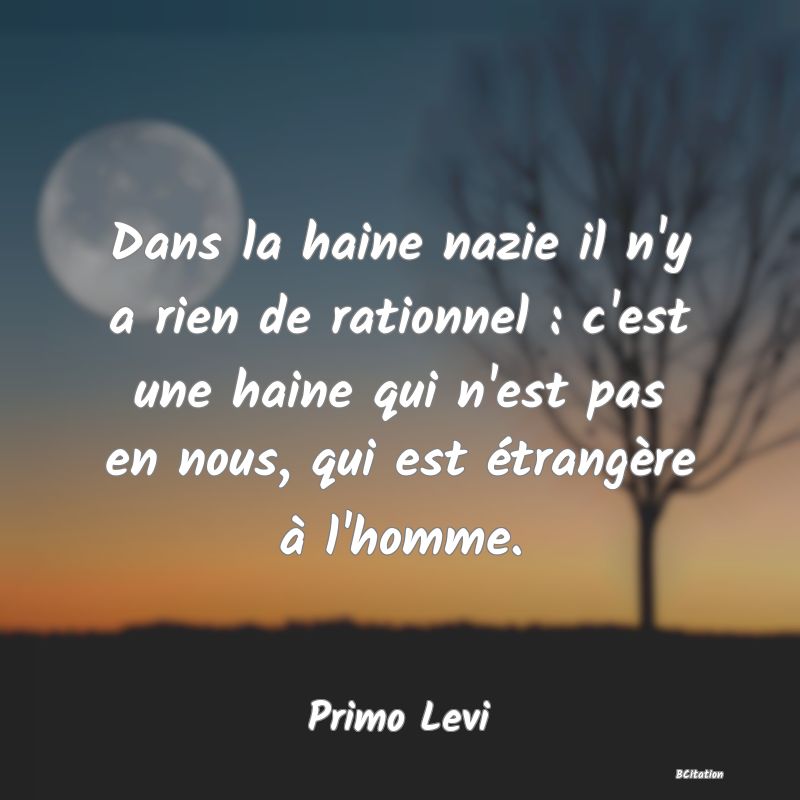 image de citation: Dans la haine nazie il n'y a rien de rationnel : c'est une haine qui n'est pas en nous, qui est étrangère à l'homme.