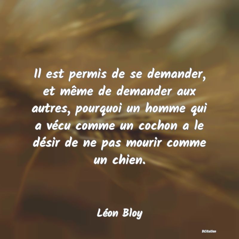 image de citation: Il est permis de se demander, et même de demander aux autres, pourquoi un homme qui a vécu comme un cochon a le désir de ne pas mourir comme un chien.