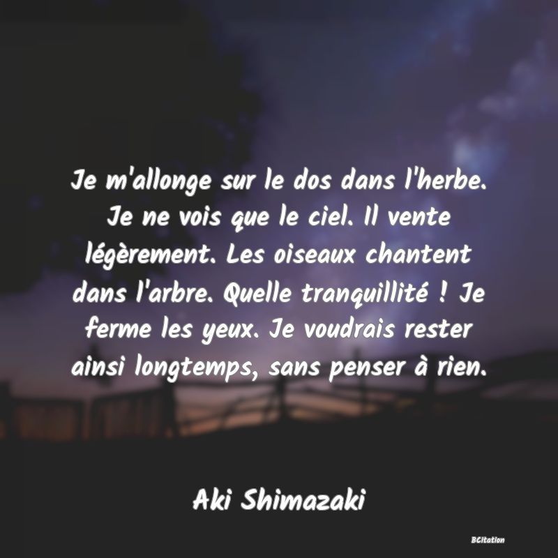 image de citation: Je m'allonge sur le dos dans l'herbe. Je ne vois que le ciel. Il vente légèrement. Les oiseaux chantent dans l'arbre. Quelle tranquillité ! Je ferme les yeux. Je voudrais rester ainsi longtemps, sans penser à rien.