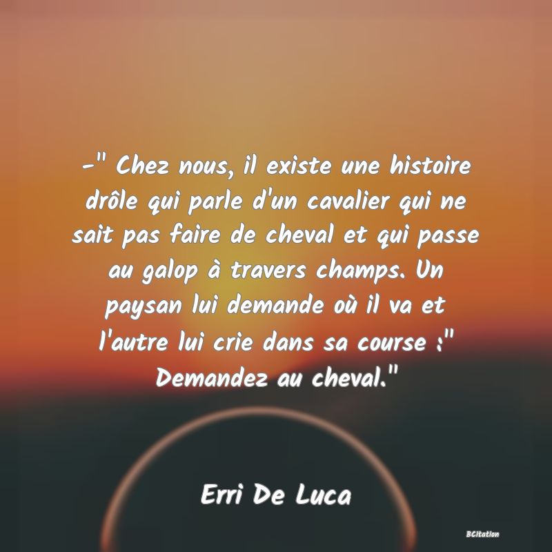 image de citation: -  Chez nous, il existe une histoire drôle qui parle d'un cavalier qui ne sait pas faire de cheval et qui passe au galop à travers champs. Un paysan lui demande où il va et l'autre lui crie dans sa course :  Demandez au cheval. 