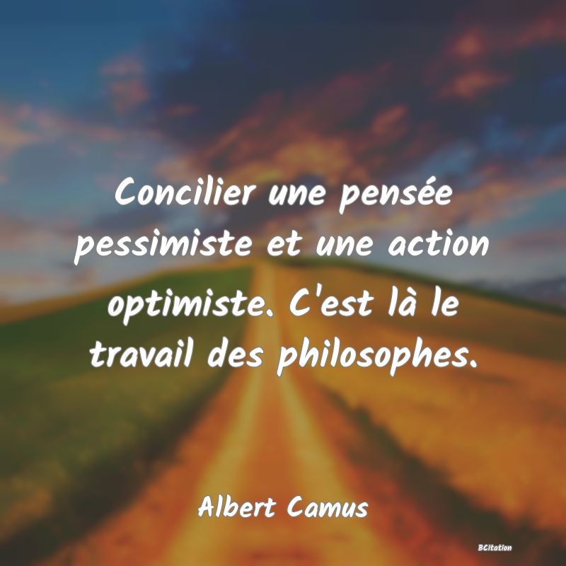 image de citation: Concilier une pensée pessimiste et une action optimiste. C'est là le travail des philosophes.